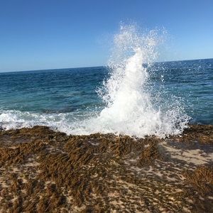 Meet your Posher, Conner